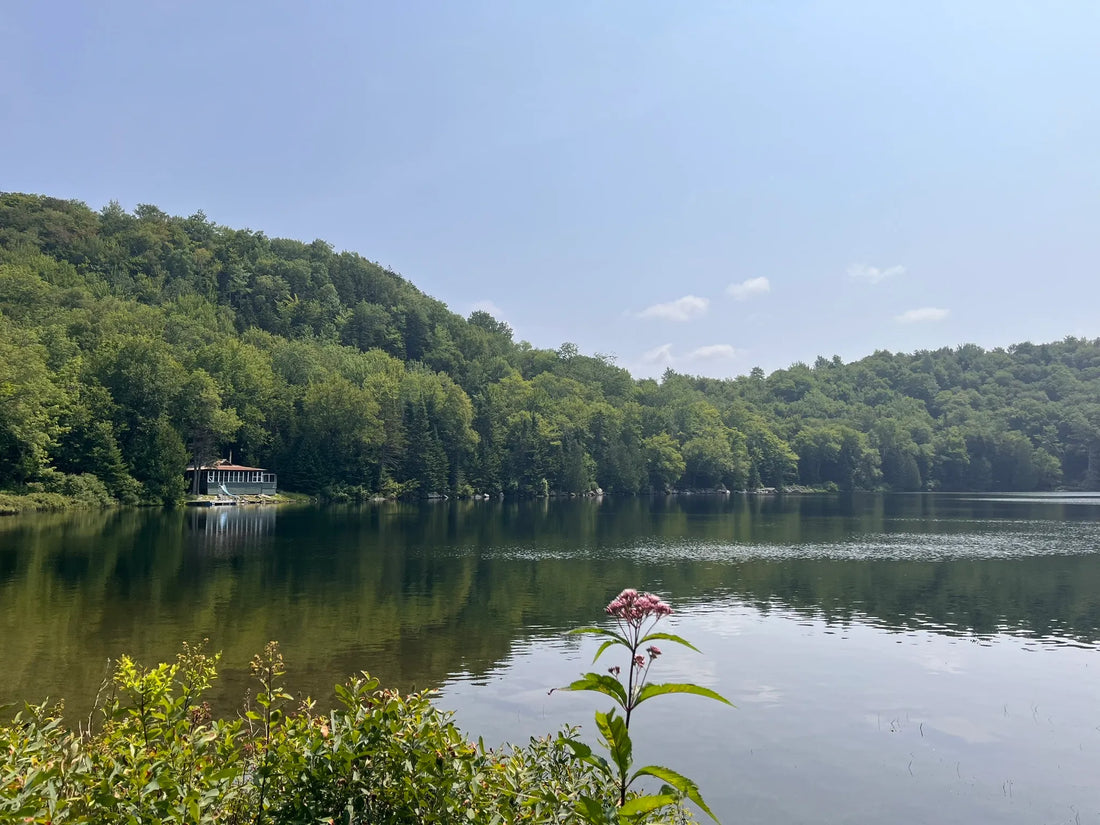 Best or Top Graphic Design Subscription Agencies and Companies in Montpelier, Vermont