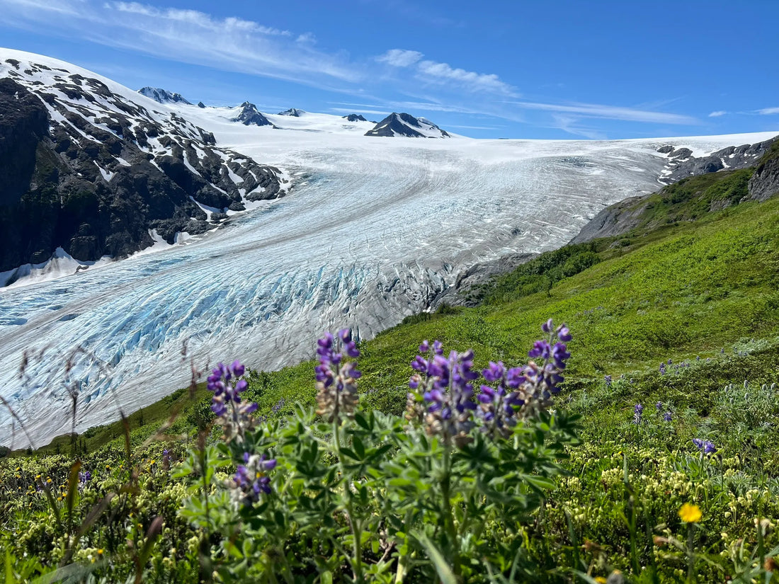 Top Athlete Agencies and Companies in Alaska
