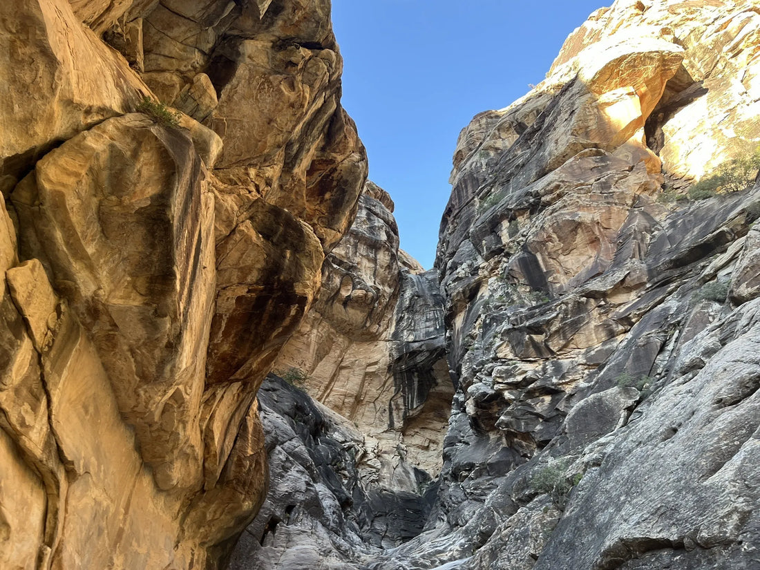 Best or Top Flyer Design Agencies and Companies in North Las Vegas, Nevada