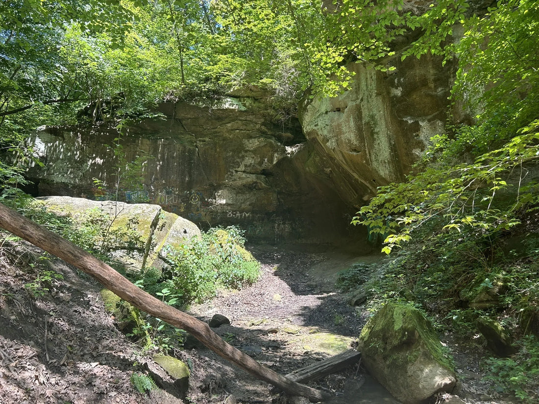 Top or Best Mural Design Agencies and Companies in Illinois