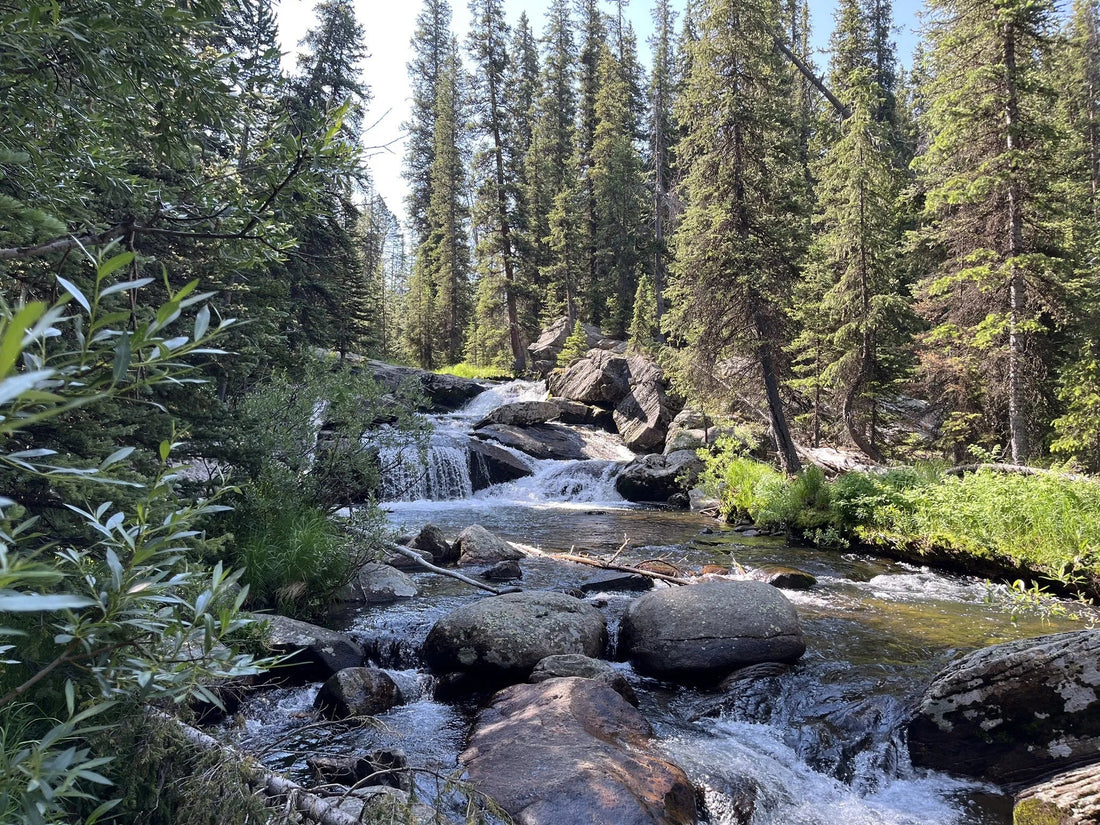 Best or Top Poster Design Agencies and Companies in Worland, Wyoming