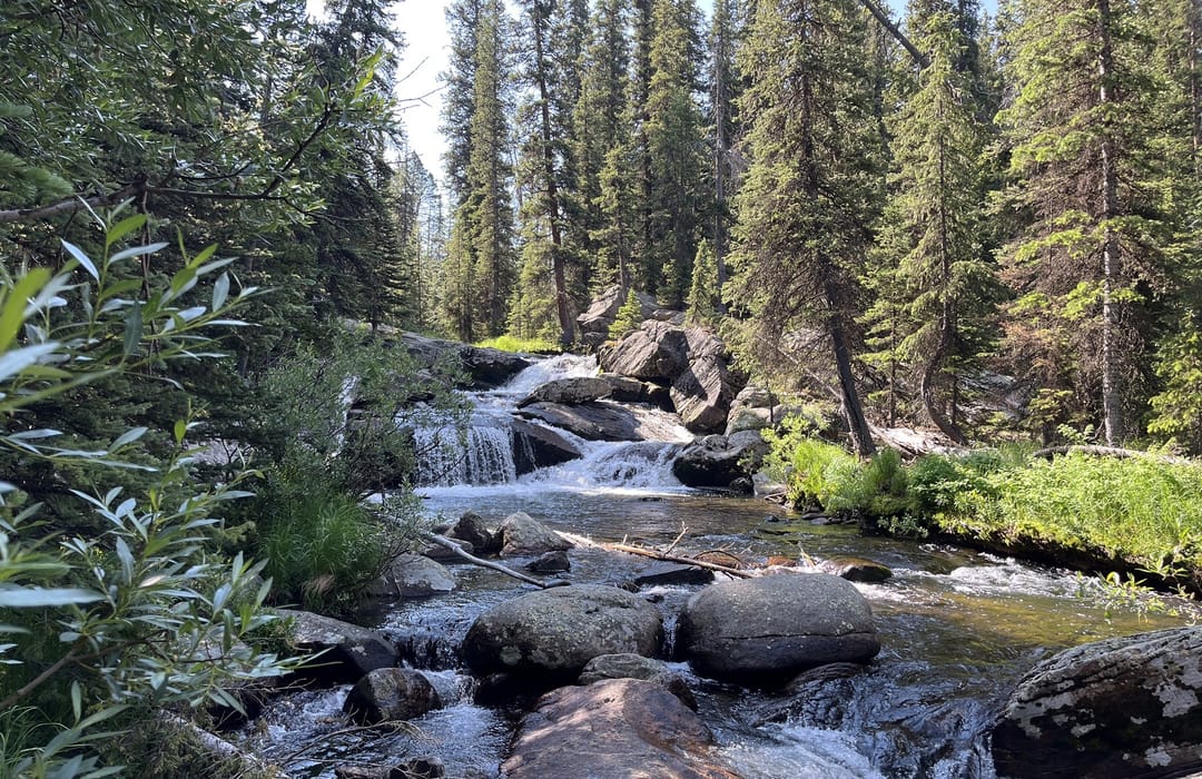 Top or Best Facebook Management Agencies and Companies in Buffalo, Wyoming