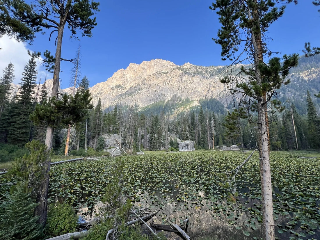 Top or Best Social Media Design Agencies and Companies in Idaho