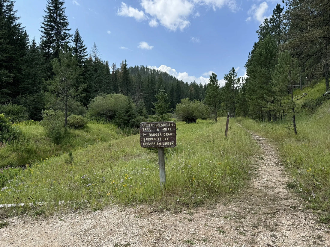 Best or Top Graphics for Streamers Agencies and Companies in Sioux Falls, South Dakota