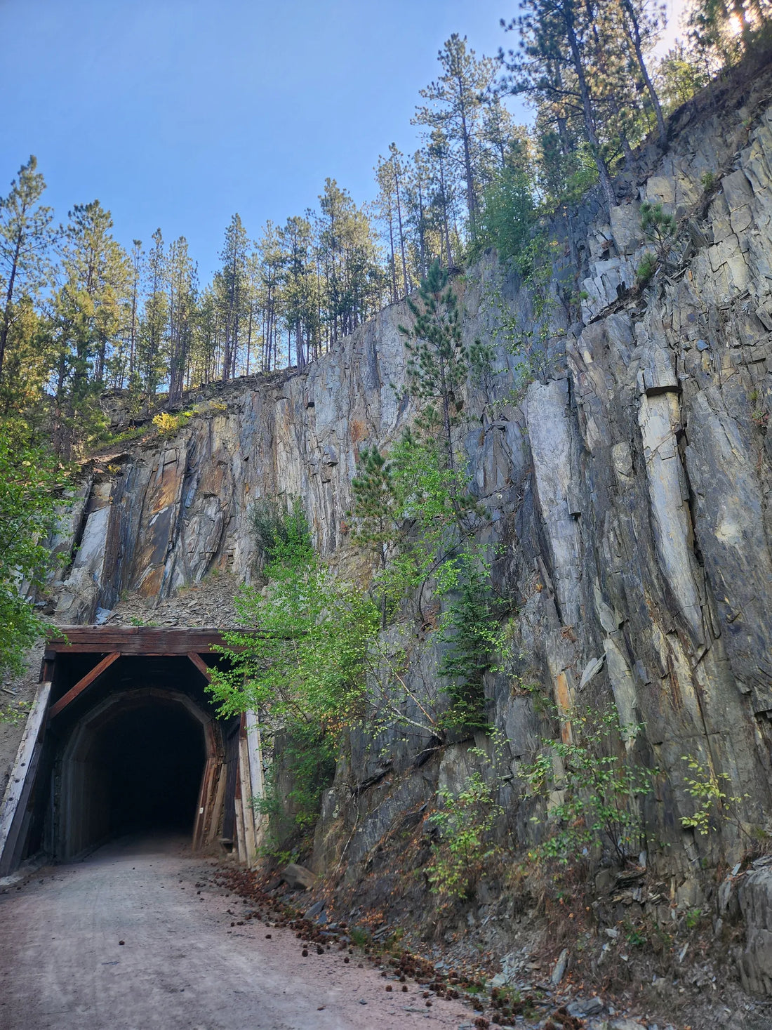 Best or Top Invitation Design Agencies and Companies in Sioux Falls, South Dakota