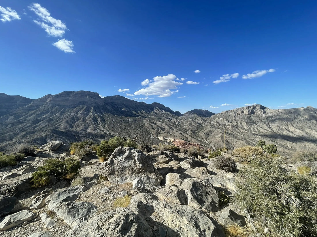 Best or Top Instagram Management Agencies and Companies in North Las Vegas, Nevada