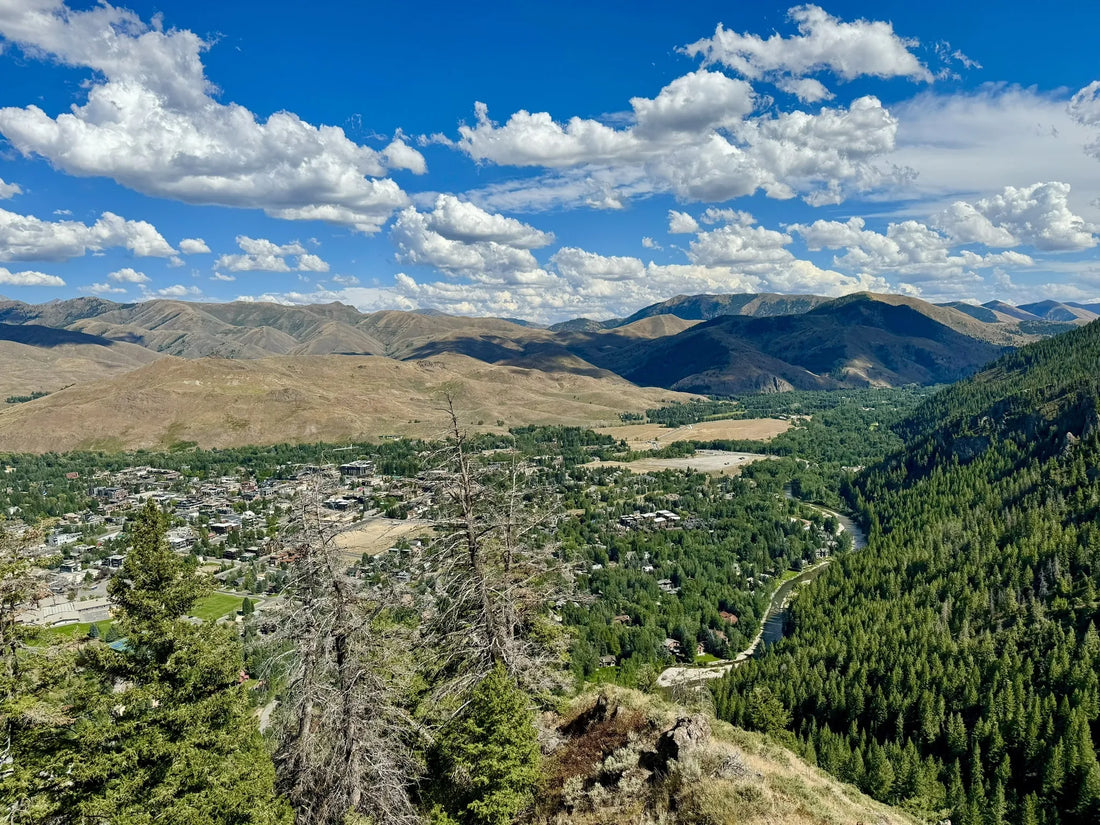 Top or Best Facebook Management Agencies and Company in Idaho