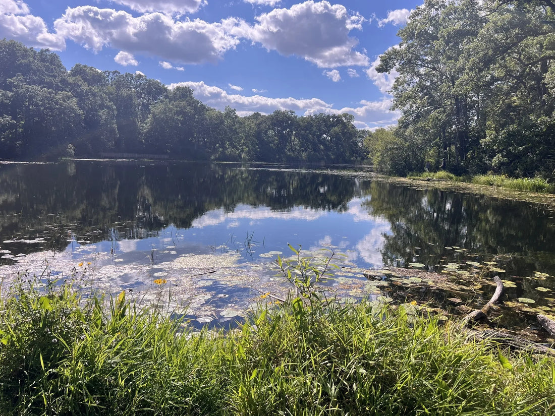 Top or Best Copywriting Agencies and Companies in Illinois