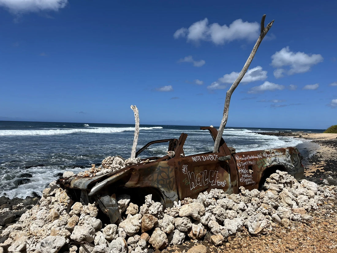 Top or Best Packaging Design Agencies and Companies in Hawaii