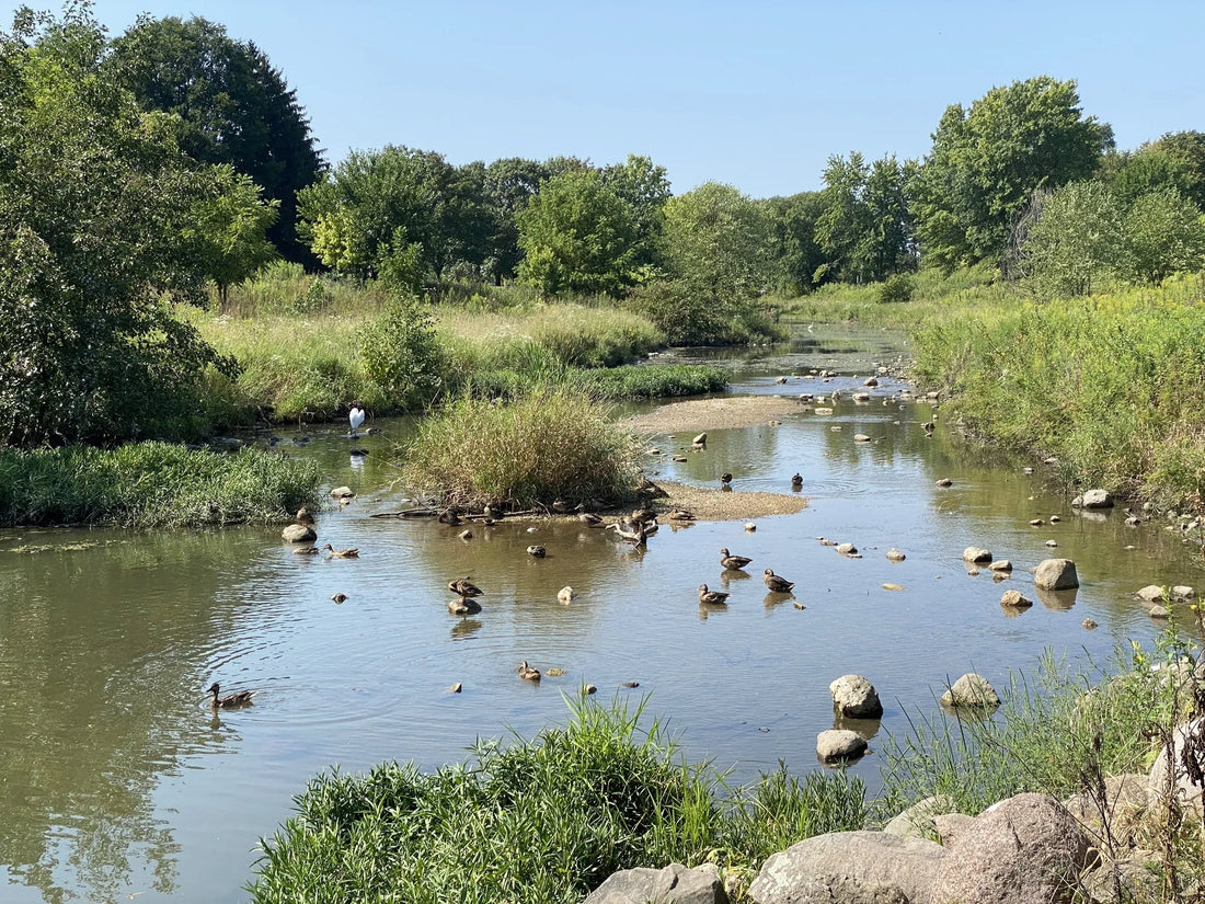 Top or Best Video Editing Subscription Agencies and Companies in Illinois