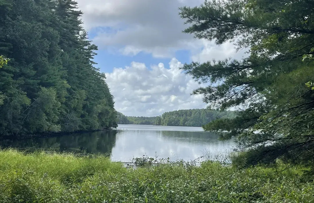 Top Invitation Design Agencies and Companies in Taunton, Massachusetts