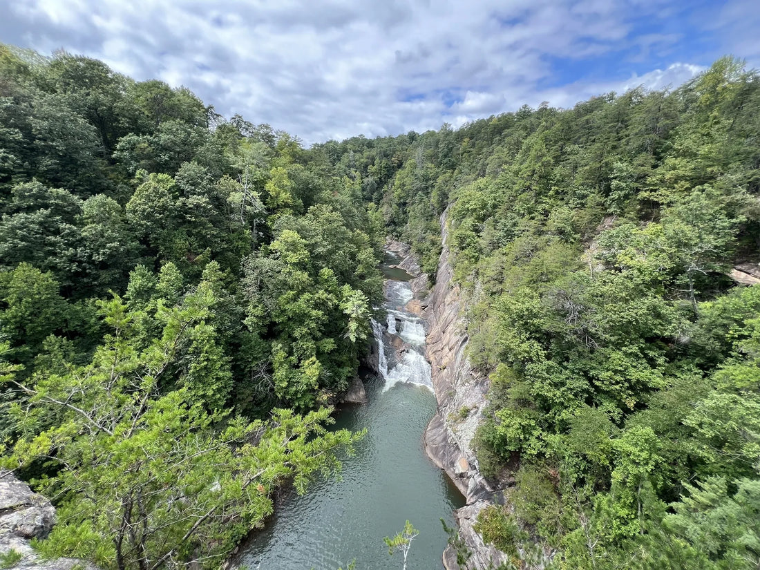 Top Graphic Design Agencies and Companies in Georgia