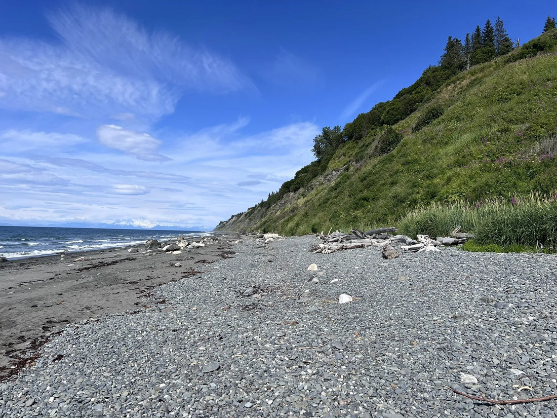 Top Photo Editing Subscription Agencies and Companies in Alaska