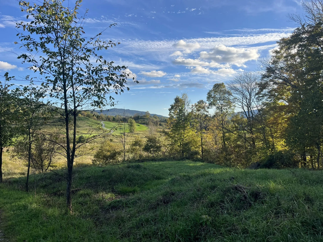 Best or Top Social Media Design Agencies and Companies in Montpelier, Vermont