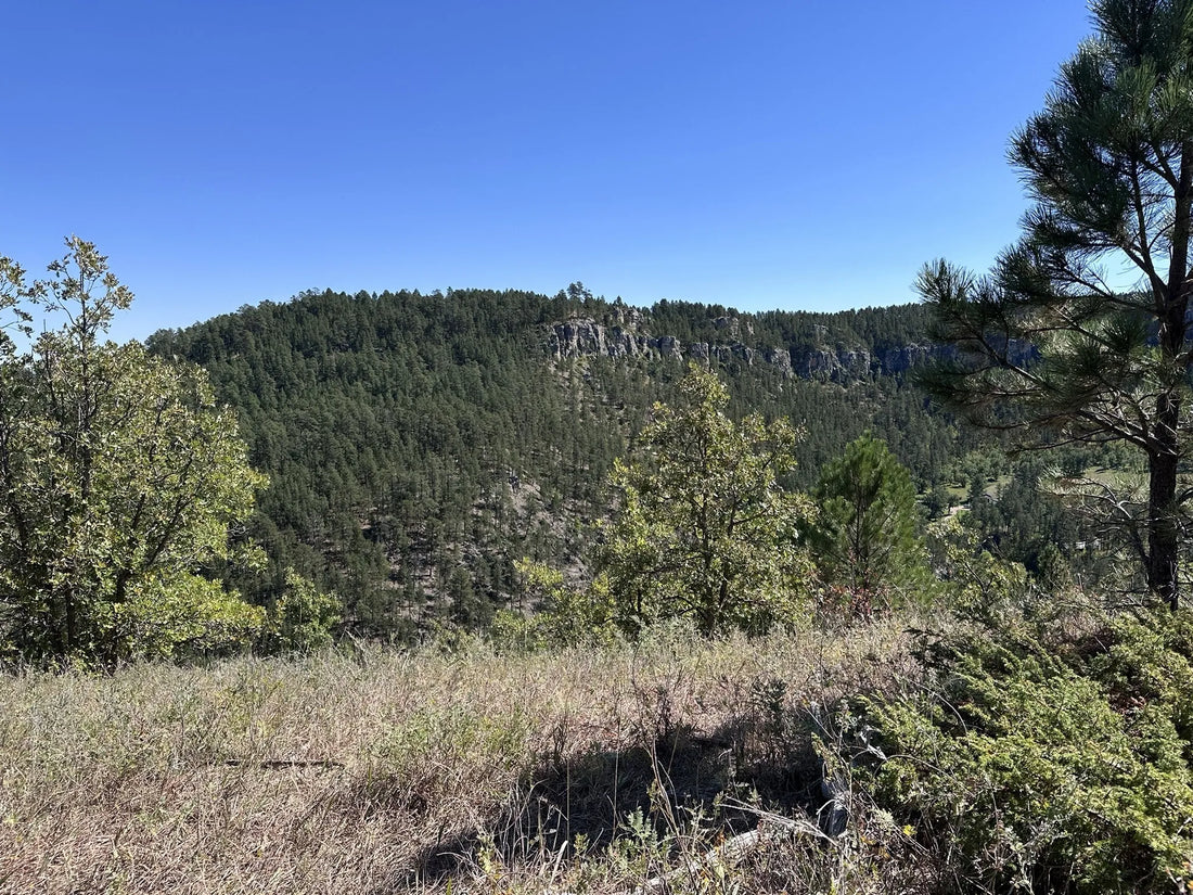 Best or Top Catalog Design Agencies and Companies in Sioux Falls, South Dakota