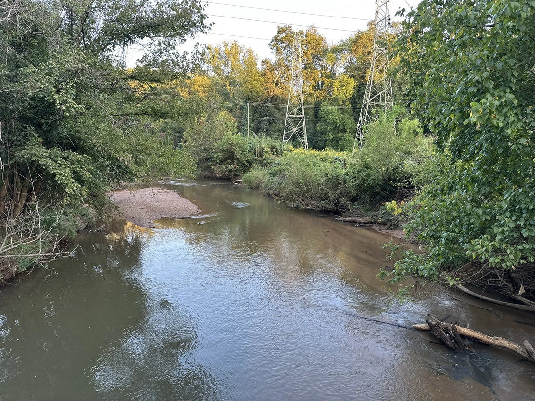 Best or Top Instagram Management Agencies and Companies in Fort Mill, South Carolina