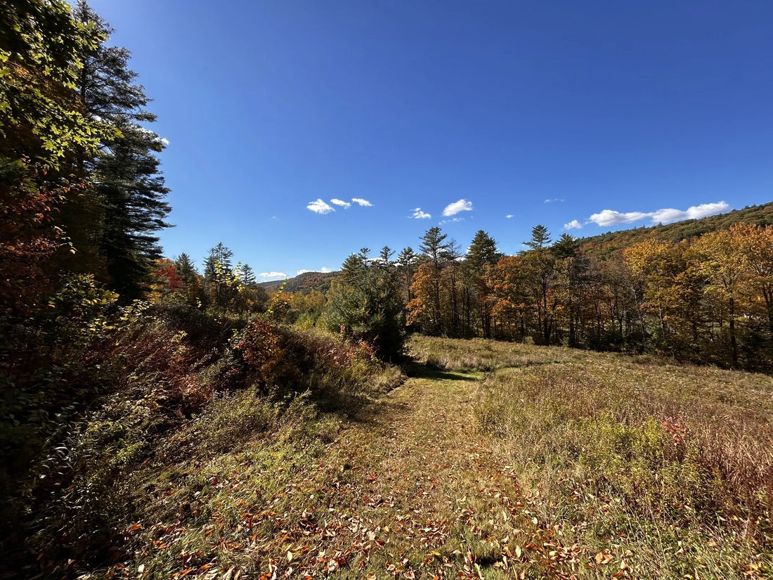 Best or Top Brand Identity Packages Agencies and Companies in Barre Town, Vermont