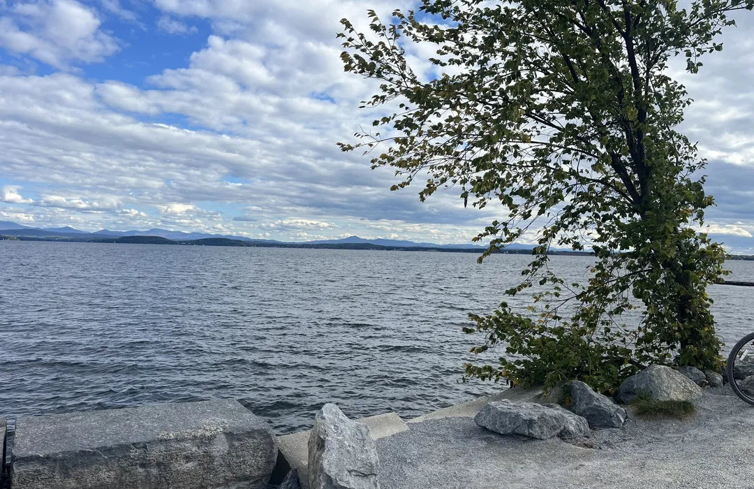 Top or Best AR Filters & Lenses Agencies and Companies in Colchester, Vermont