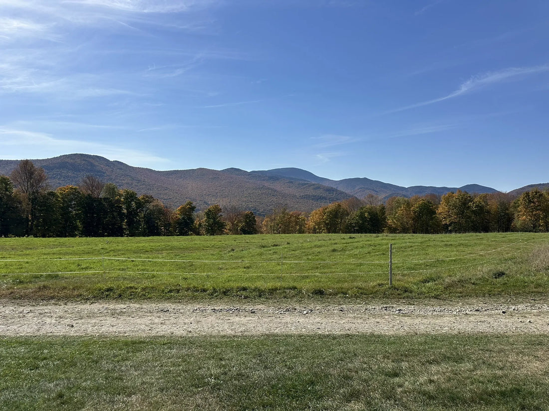 Best or Top Email Campaign Design Agencies and Companies in Barre City, Vermont
