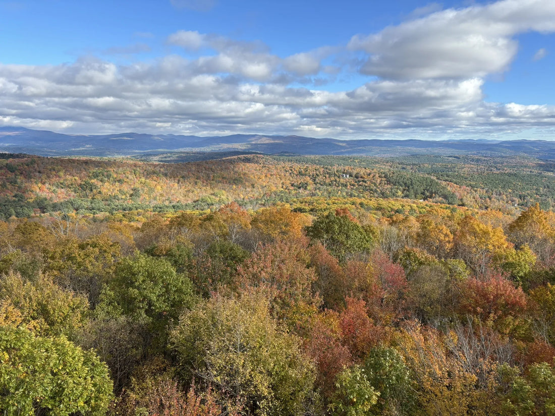 Best or Top Stationery Design Agencies and Companies in Shelburne, Vermont