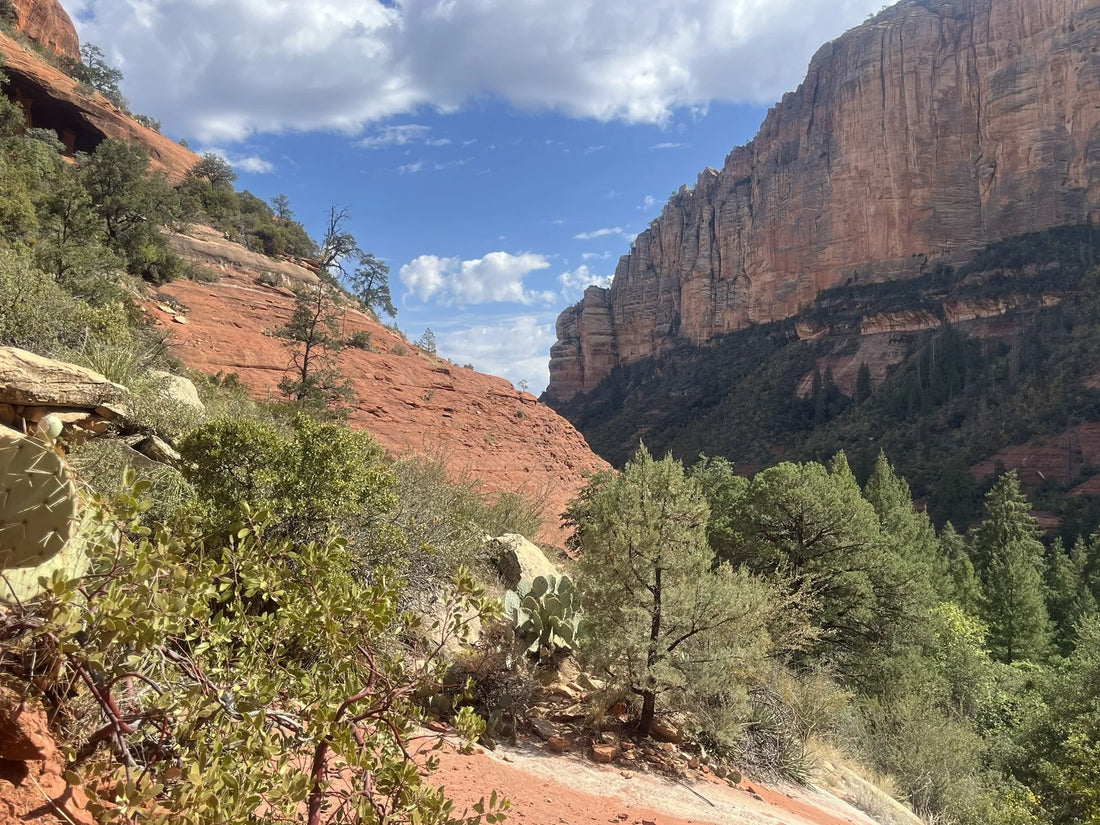 Top Brand Partnership Agencies and Companies in Arizona