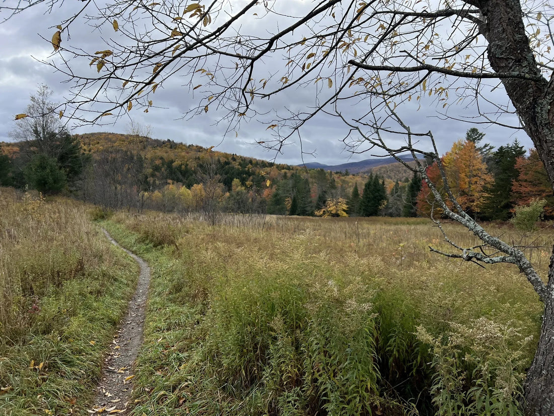 Best or Top Mural Design Agencies and Companies in Montpelier, Vermont