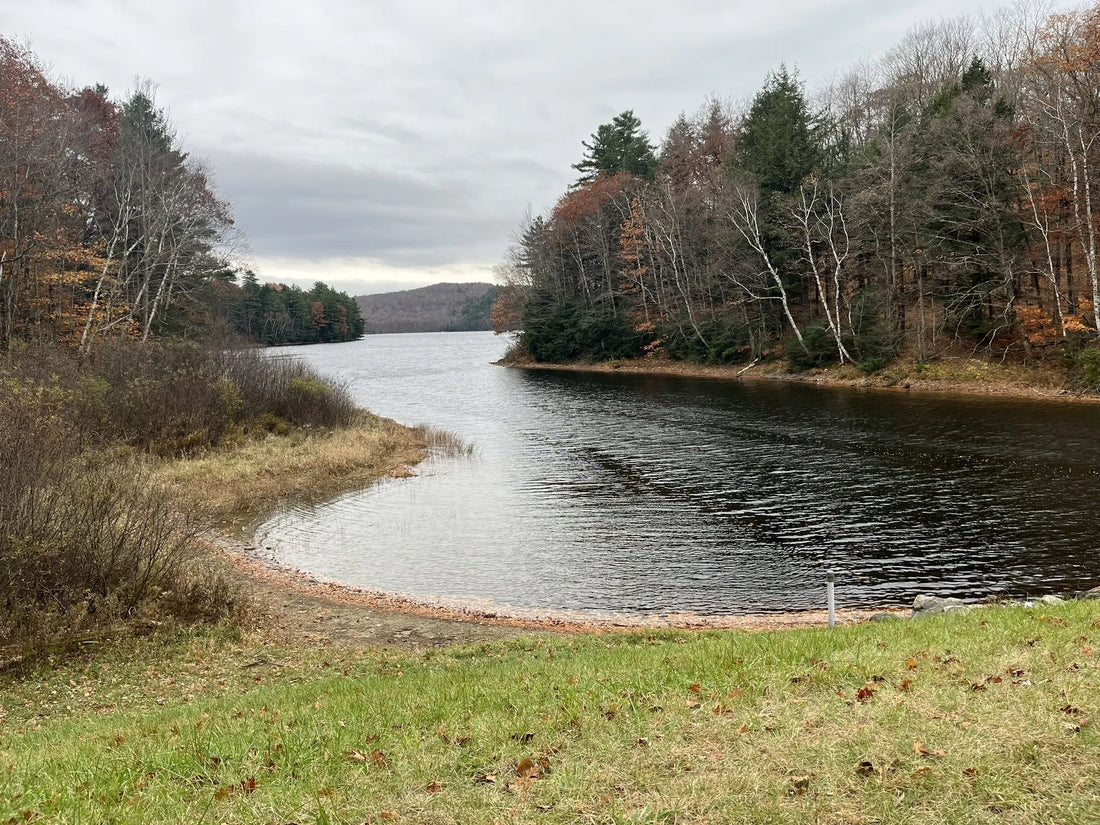 Best or Top Infographic Design Agencies and Companies in Springfield, Vermont