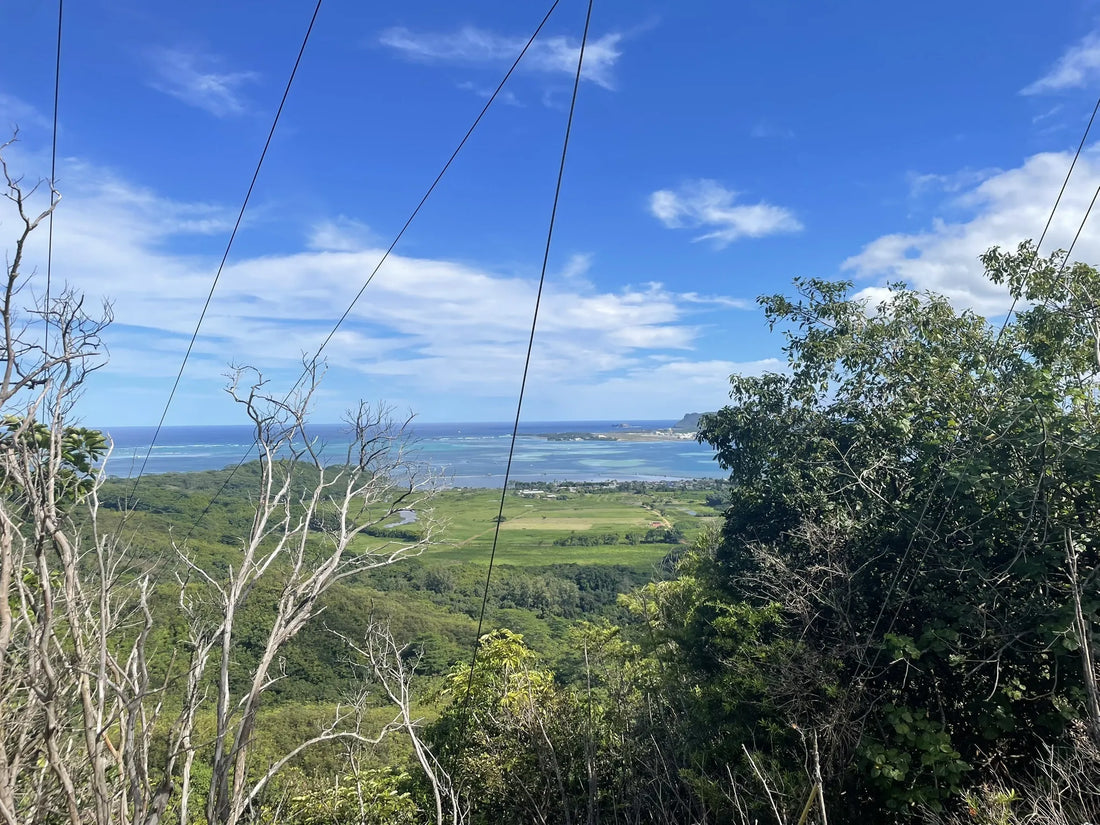 Top or Best Email Campaign Design Agencies and Companies in Hawaii