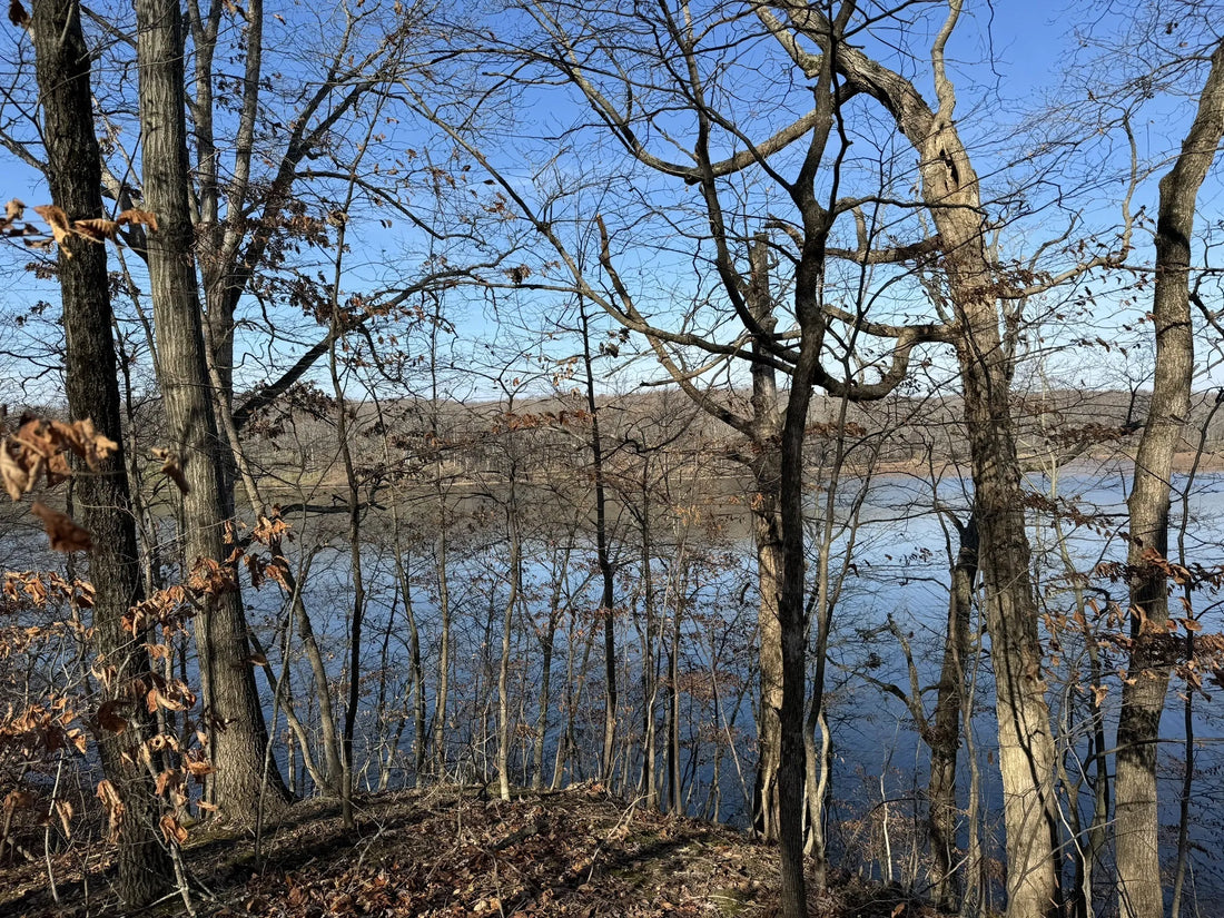 Top or Best Brand Collaboration Agencies and Companies in Illinois