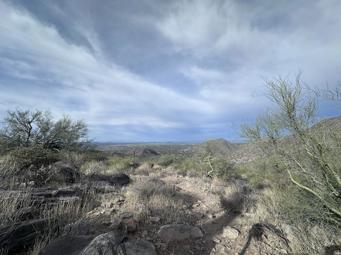Best or Top Video Editing Subscription Agencies and Companies in Arizona
