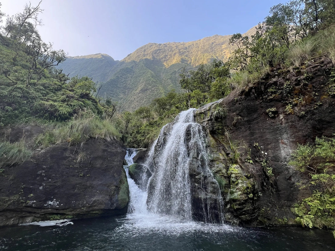 Top Athlete Management Agencies and Companies in Hawaii