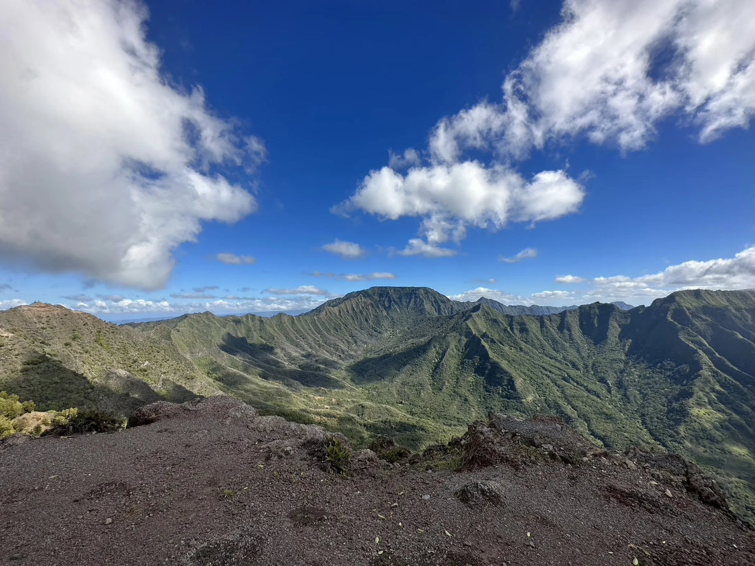 Top or Best Graphics for Streamers Agencies and Companies in Hawaii