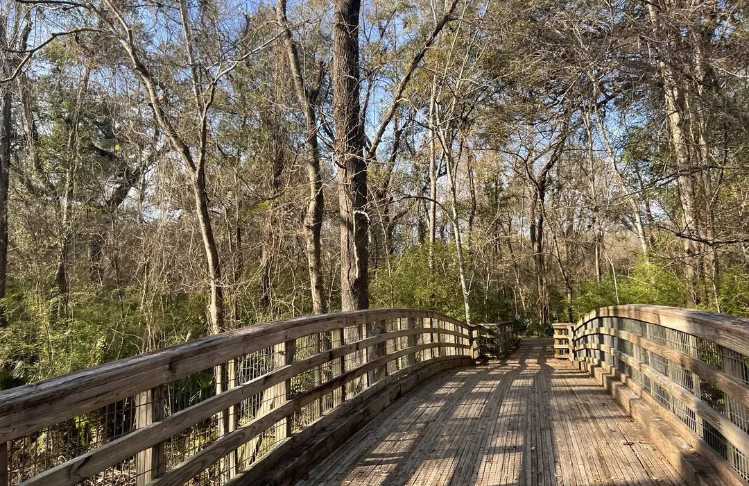 Top or Best Graphics for Streamers Agencies and Companies in Lafayette, Louisiana