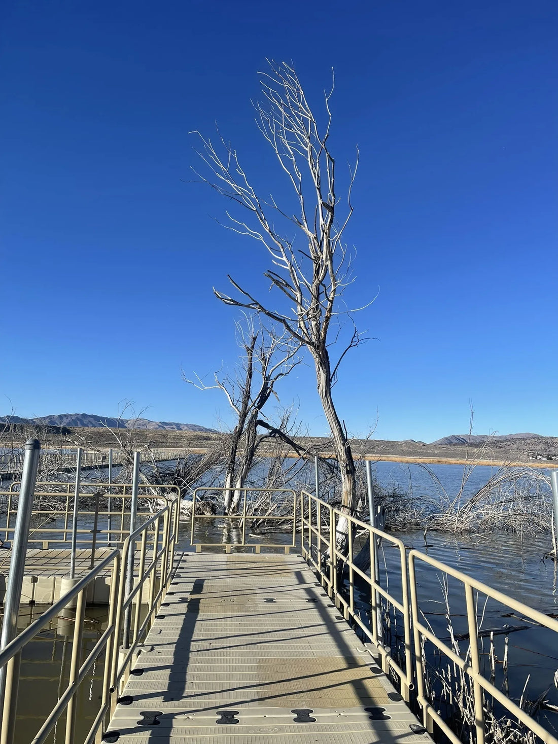 Best or Top Twitch Management Agencies and Companies in Reno, Nevada