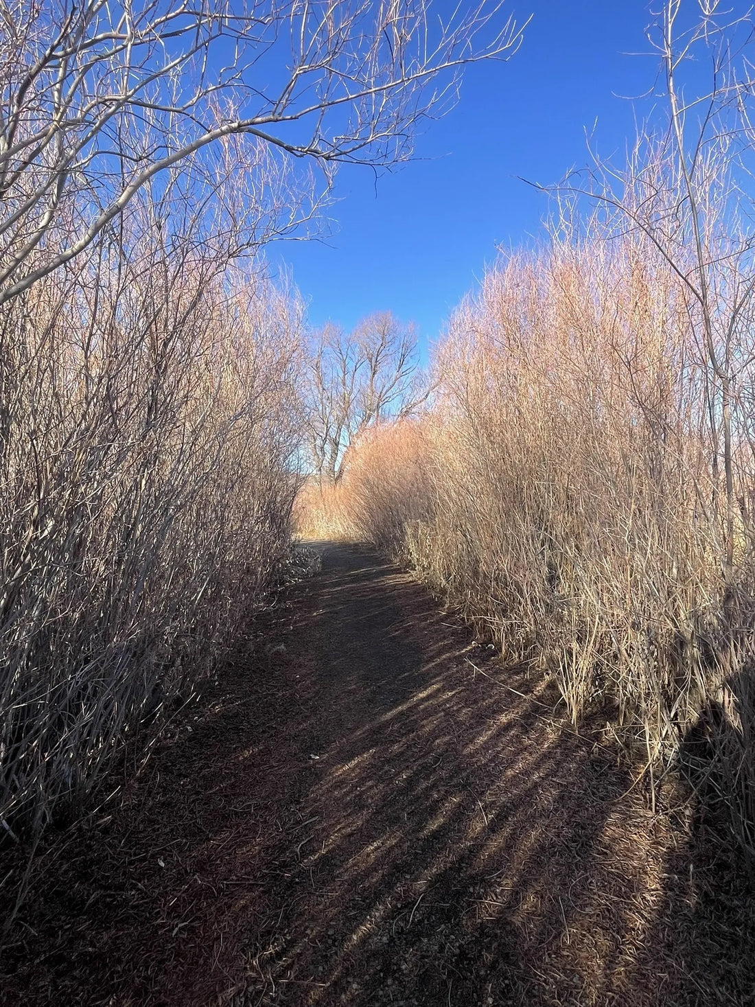 Best or Top Snapchat Management Agencies and Companies in Reno, Nevada