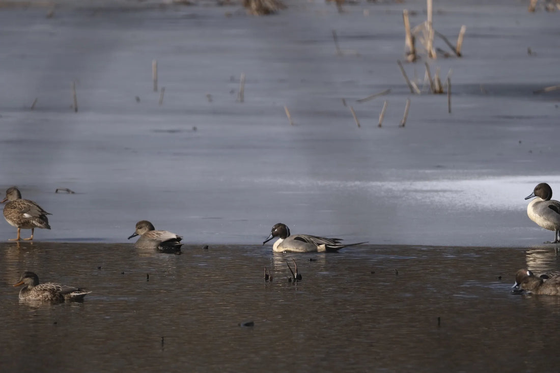 Best or Top Graphic Design Subscription Agencies and Companies in Trenton, New Jersey