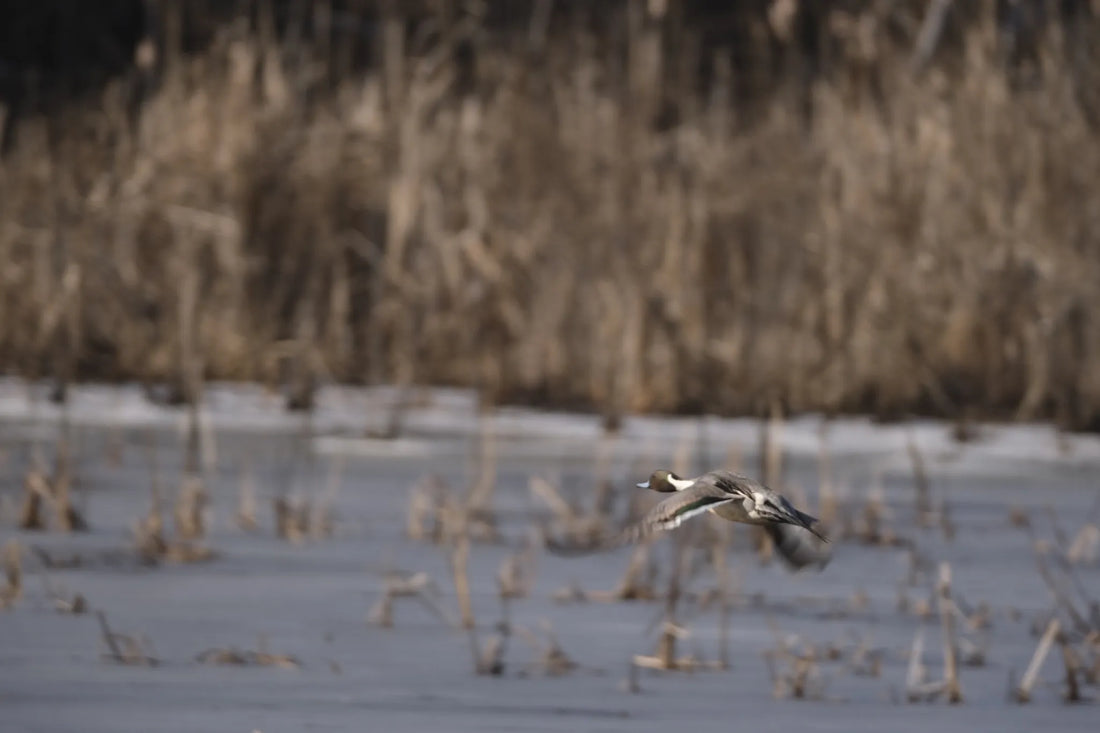 Best or Top Graphic Design Agencies and Companies in Trenton, New Jersey