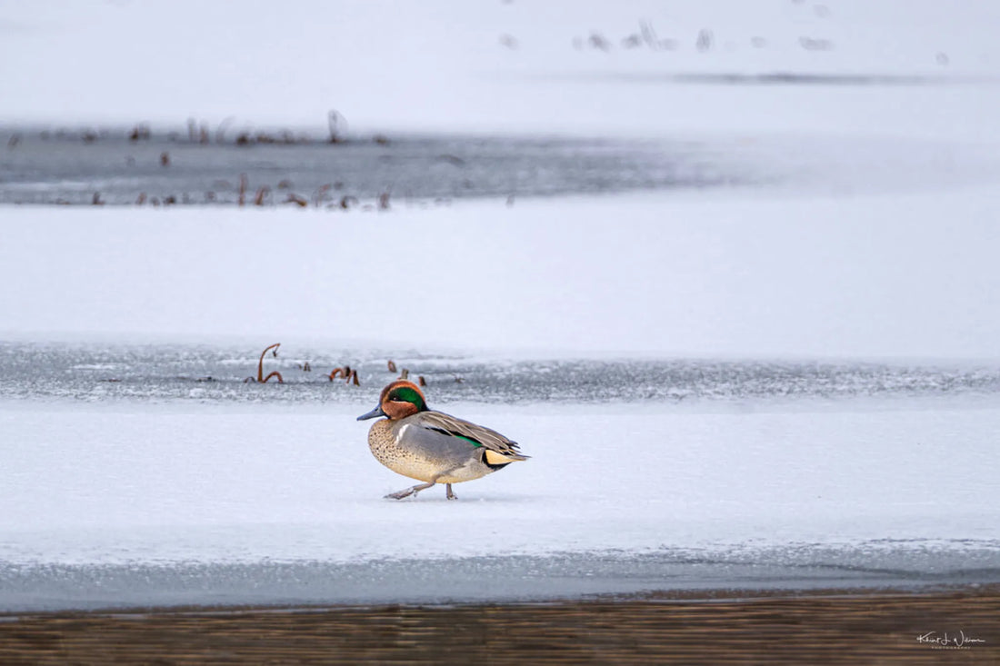 Best or Top Twitch Management Agencies and Companies in Trenton, New Jersey