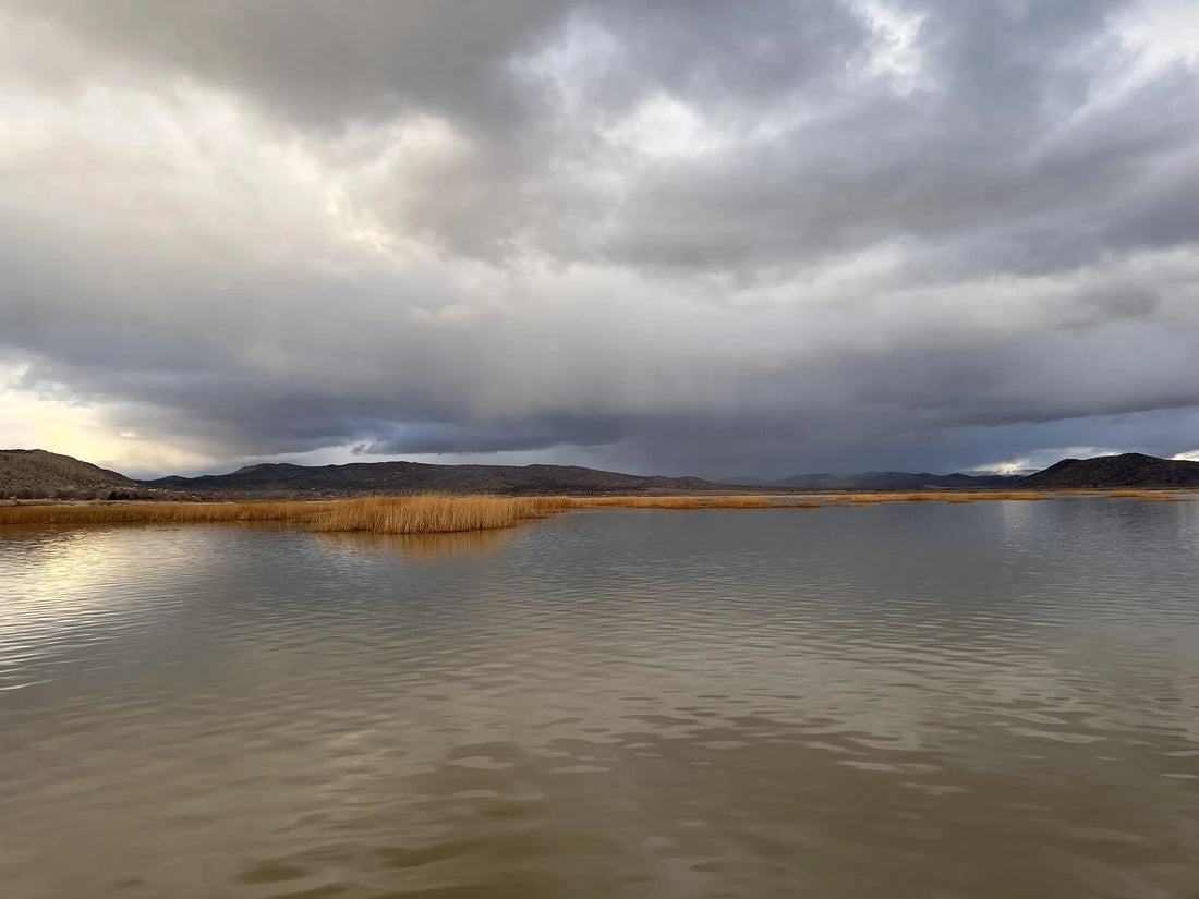 Best or Top Graphic Design Agencies and Companies in Reno, Nevada