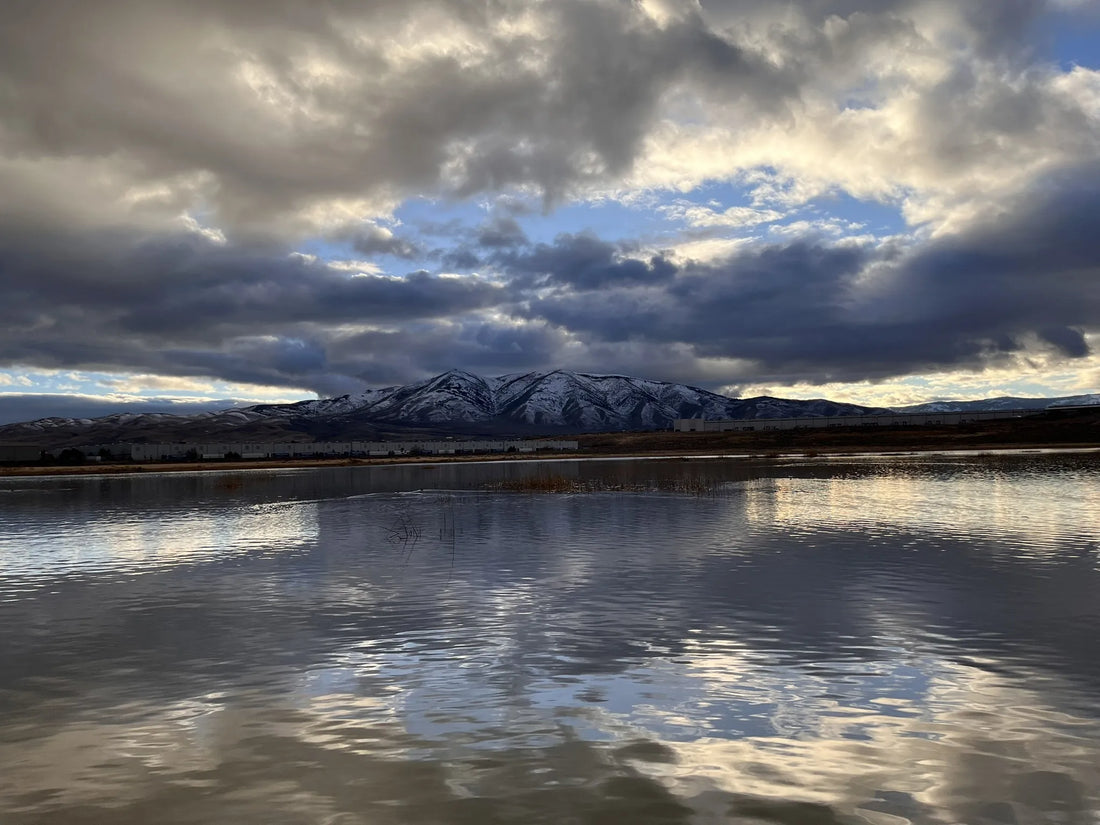 Best or Top TikTok Management Agencies and Companies in Reno, Nevada