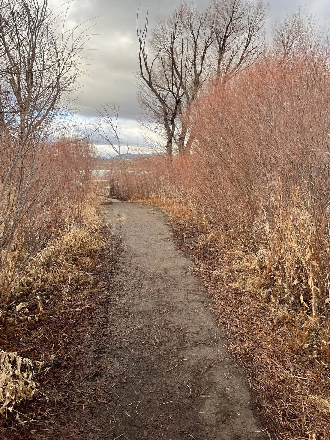 Best or Top Facebook Management Agencies and Companies in Reno, Nevada