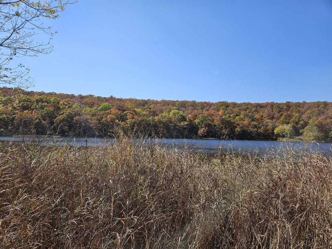 Best or Top Social Media Design Agencies and Companies in Bixby, Oklahoma