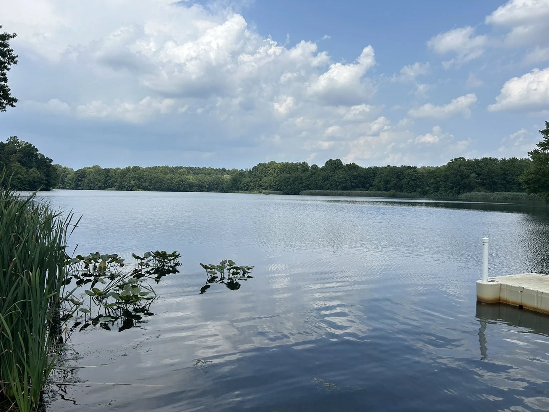 Best or Top LinkedIn Management Agencies and Companies in Trenton, New Jersey