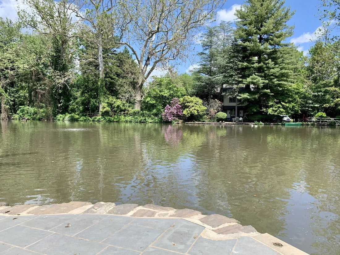 Best or Top Snapchat Management Agencies and Companies in Trenton, New Jersey