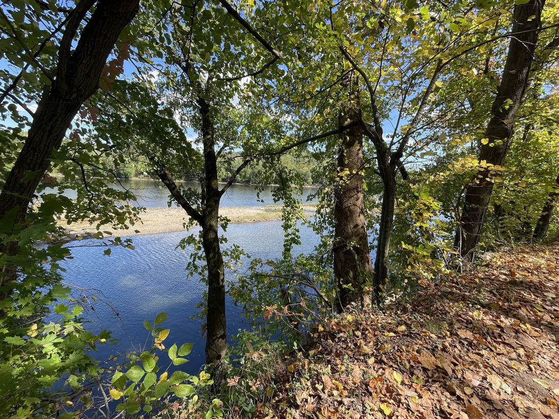 Best or Top Instagram Management Agencies and Companies in Trenton, New Jersey