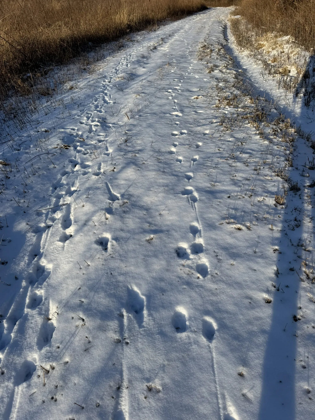 Best or Top X (formerly Twitter) Management Agencies and Companies in Trenton, New Jersey