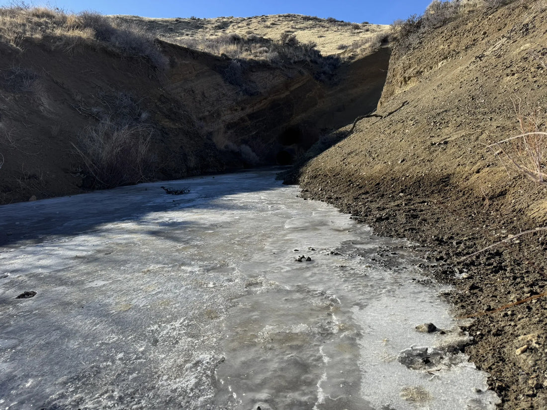 Best or Top Graphics for Streamers Agencies and Companies in Reno, Nevada