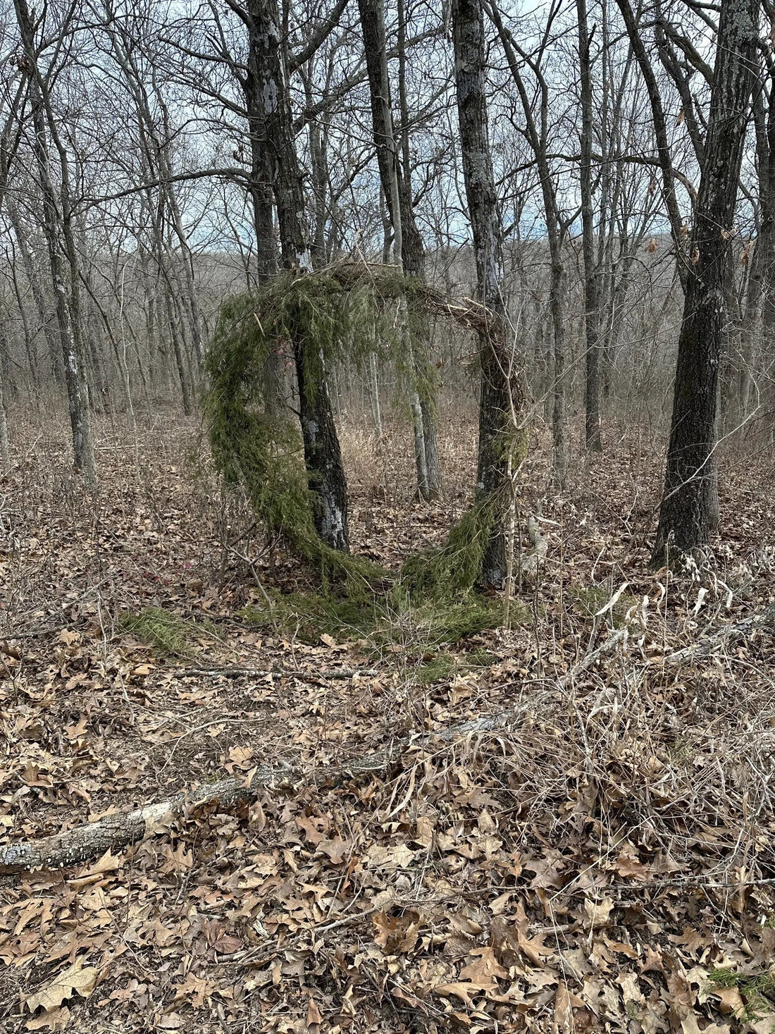 Best or Top Video Editing Agencies and Companies in Bixby, Oklahoma