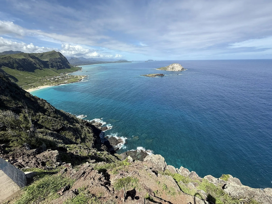 Top or Best Influencer Brand Partnership Agencies and Companies in Hawaii