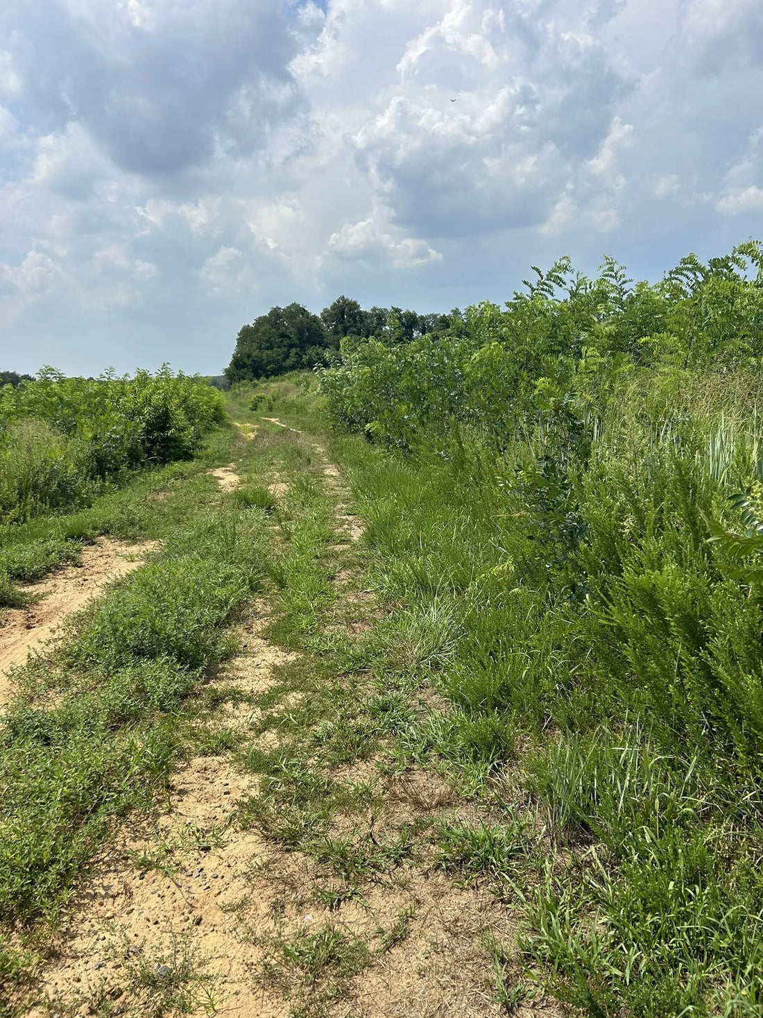 Best or Top TikTok Management Agencies and Companies in Trenton, New Jersey